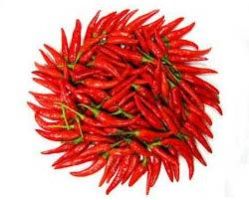 Fresh Red Chilli