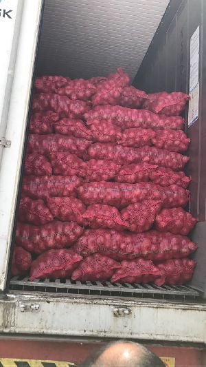 Fresh Red Onion