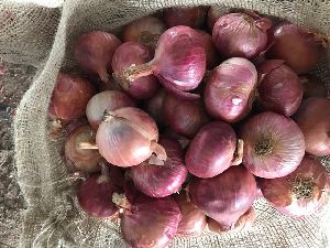 Fresh Red Onion