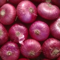 Fresh Red Onion