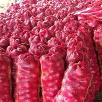 Fresh Red Onion