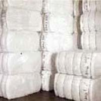 Cotton Bales