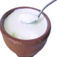 Fresh Curd