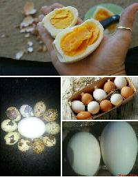 Table Duck Eggs