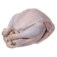 Frozen Turkey Meat