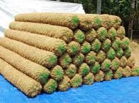 Coir Bio Log