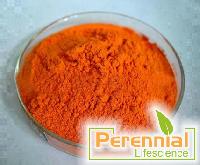 Curcumin Extract