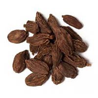 Black Cardamom