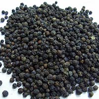 Black Pepper Seeds