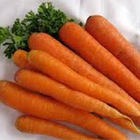 Fresh Carrot