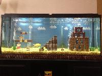 fish tank