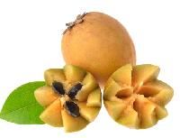 chikoo fruit