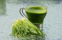 Wheatgrass Juice