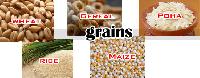 Agriculture Food Grains