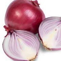 Fresh Red Onion