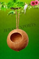 Whole Coconut Wild Bird Feeder