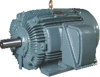 Three Phase Motor