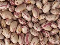 Light Speckled Kidney Beans