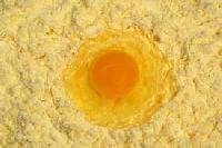 Egg Yolk Powder