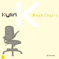 Mesh Chairs