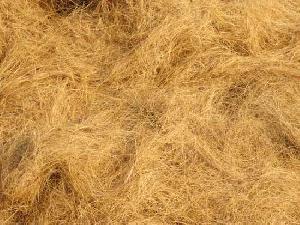 Coir Fibre