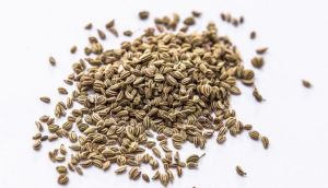 Carom Seed Powder (Trachyspermum Ammi)