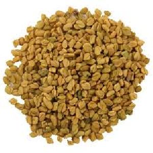 Fenugreek Powder (Trigonella Foenum Graecum)