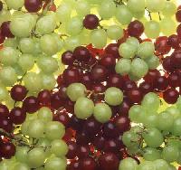 Grapes