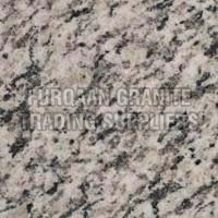 Tiger White Granite Slabs