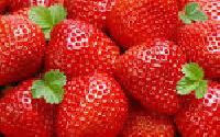 Fresh Strawberry