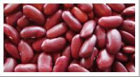 Red Kidney Beans