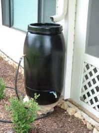 Rainwater Harvesting Systems