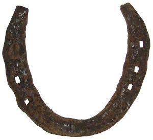 Black Horse Shoe