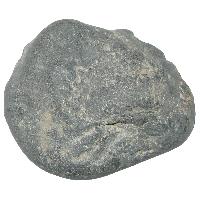 Stone Saligramam