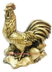 rooster