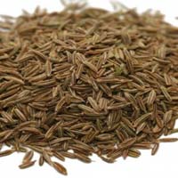 Cumin Seeds