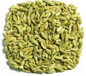 Fennel Seeds