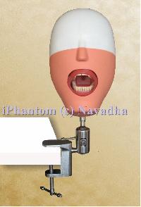 Iphantom head Dental Simulators