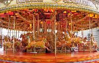 Merry Go Round