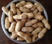 Raw Peanuts