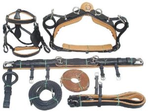 Cob Driving Harness Set