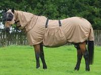 horse clothing