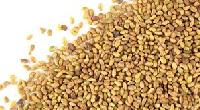 rajka seed