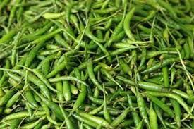 Fresh Green Chilies