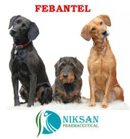 Febantel Ep