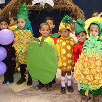 Fruits and Vegetable Fancy Dresses