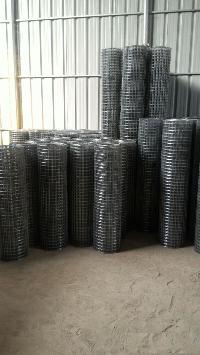 Galvanized Iron Welded Mesh Rolls 06