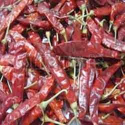 Dried Red Chilli