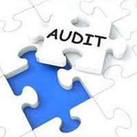 Audit and Assurance Service