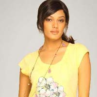 Ladies Round Neck T-Shirt (AKE 4004)